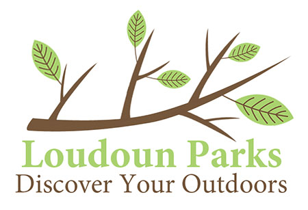 loudoun parks design