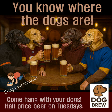 Axe-Throw-Bar2025-1A brewery event promo design