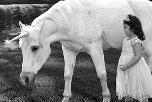 horse design