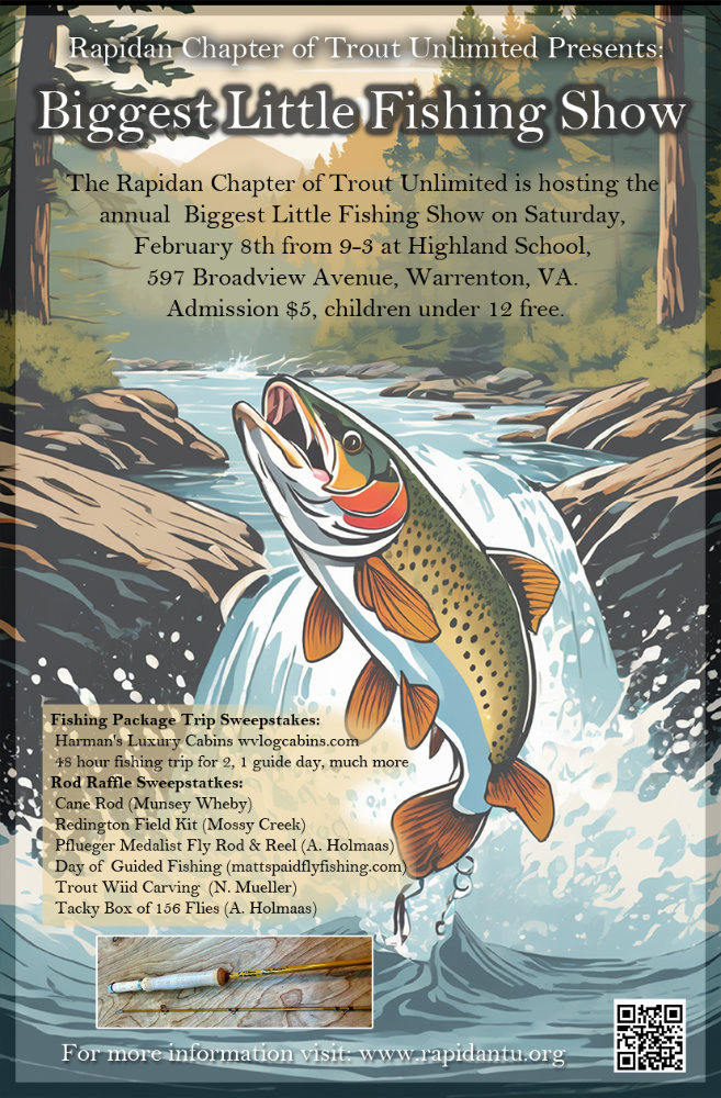 fishing derby poster design