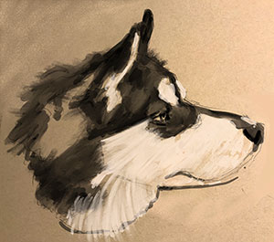 Dog-Sketch300 dog drawing