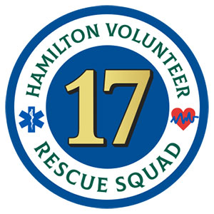 hamilton volunteer logo