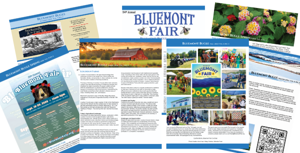 Newsletter-Array1 bluemont newsletter